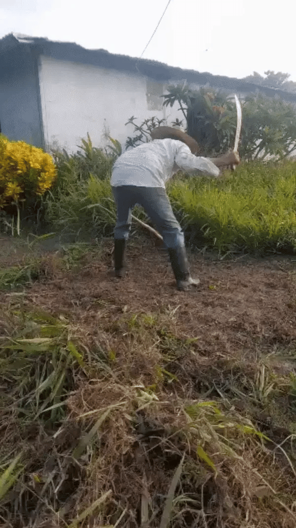 Recortadora inalámbrica para jardín fácil